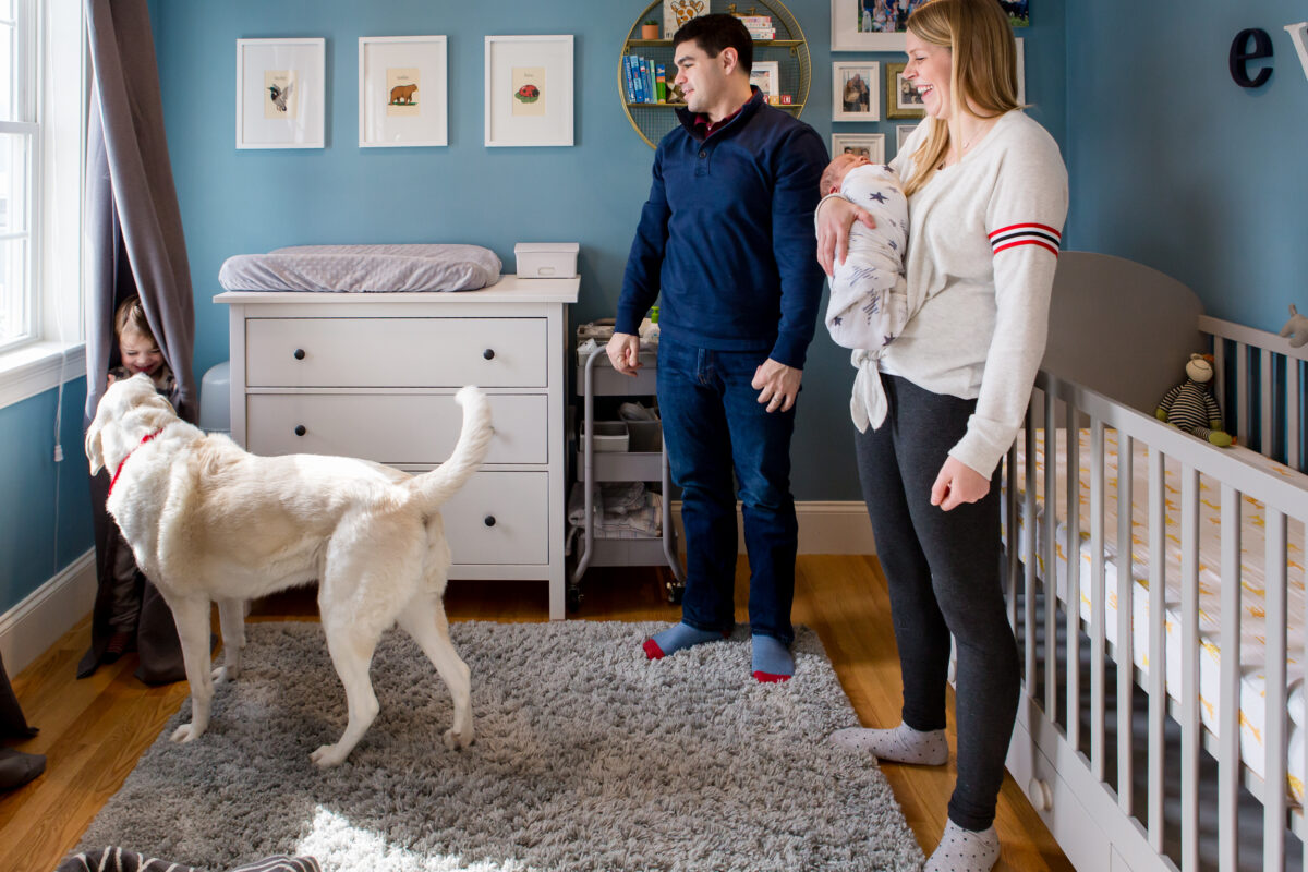 dog sniffs out little boy hiding behind the curtain in his room as parents look on