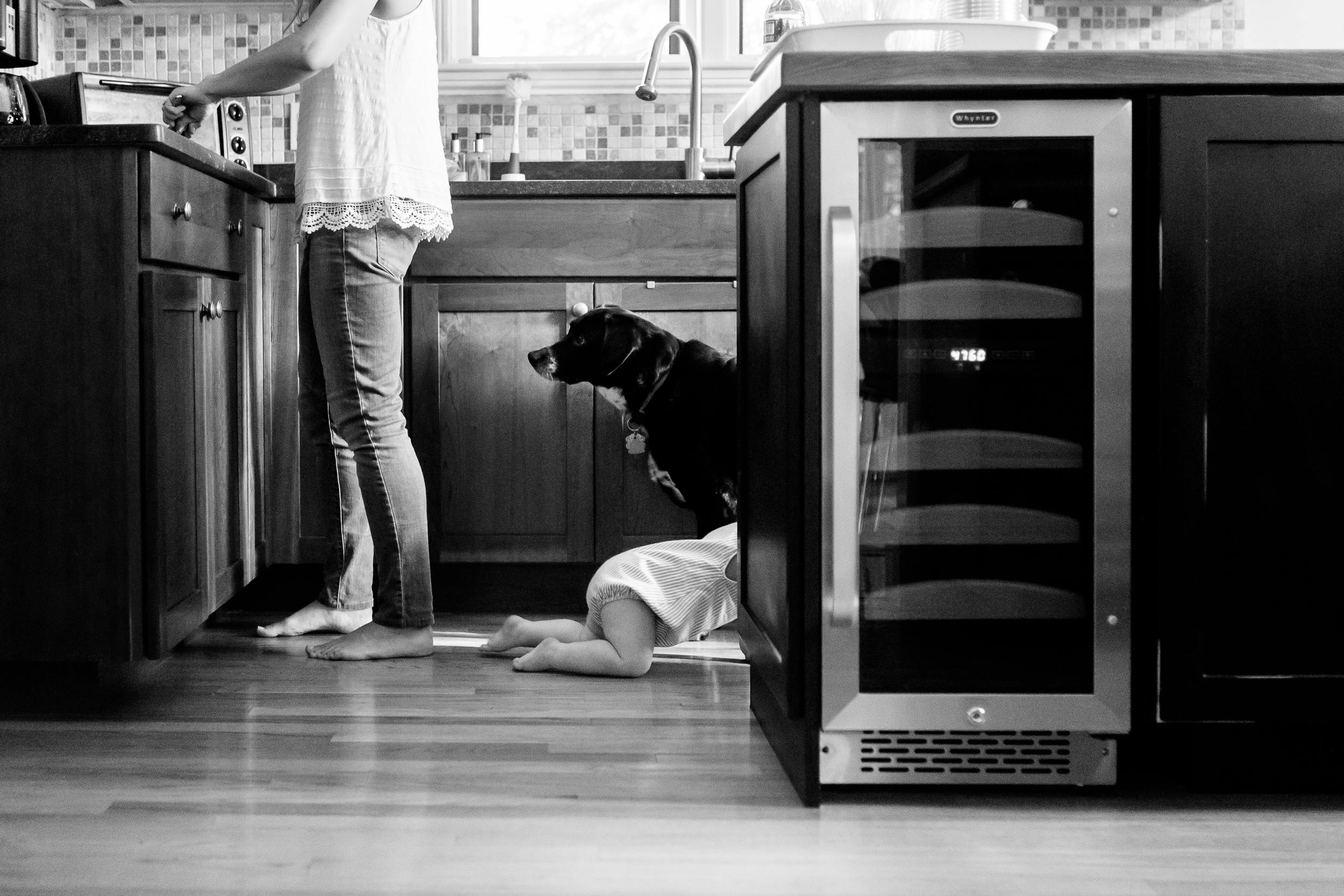 Baby crawls on kitchen floor while mom prepares a snack and dog looks on. Photo taken during a documentary family photography session with Emily Sterne
